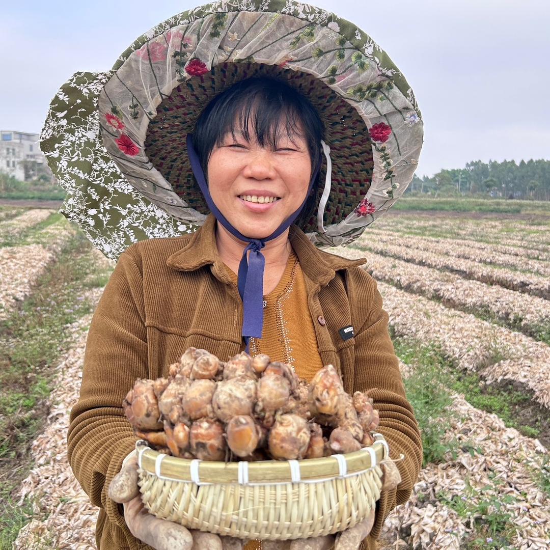 鲜丰堂沙姜专供