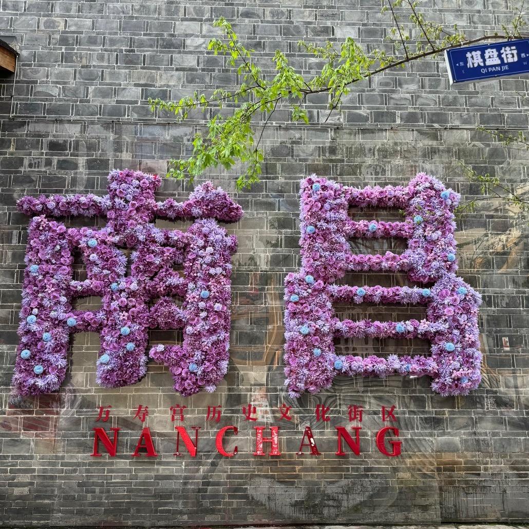 钱钱在南昌