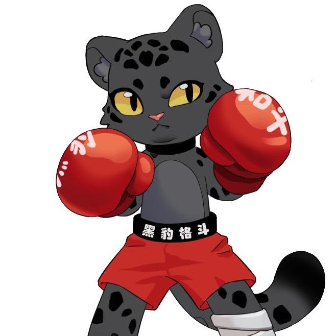 成都市黑豹格斗李教练