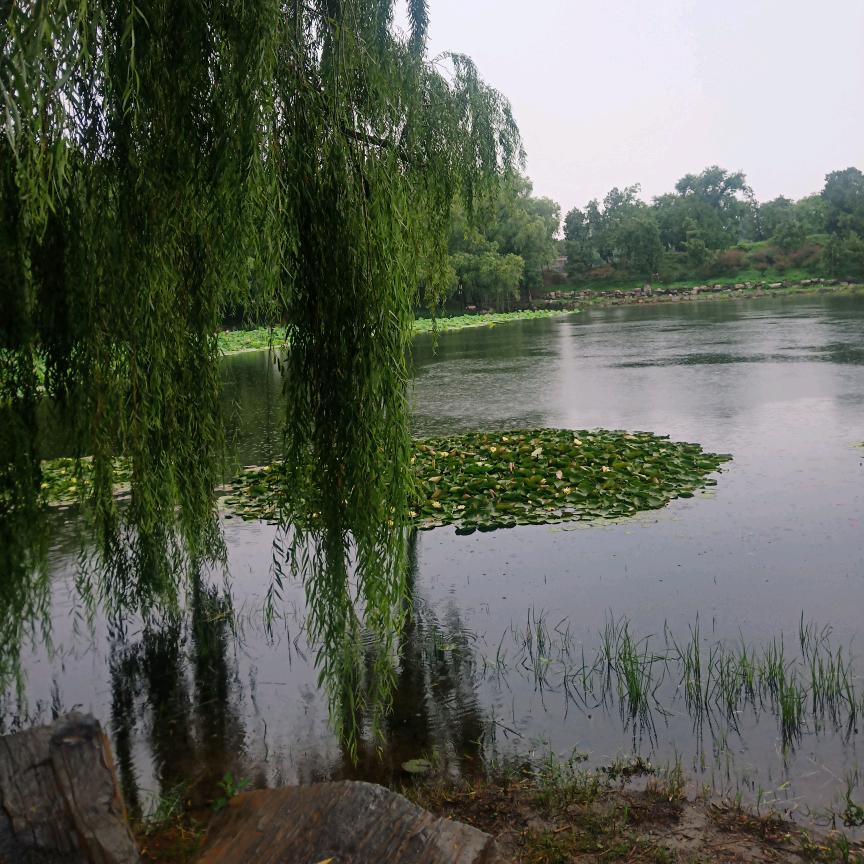 💞ღ流星雨꧔ꦿ⁵²º᭄এ࿐：