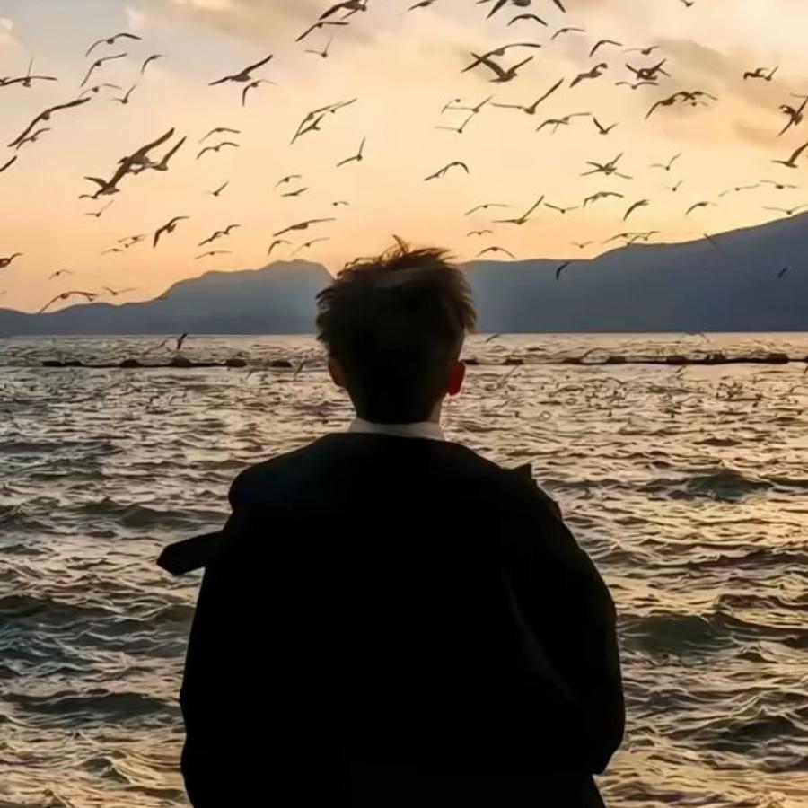 团长🧚🏻‍♂️