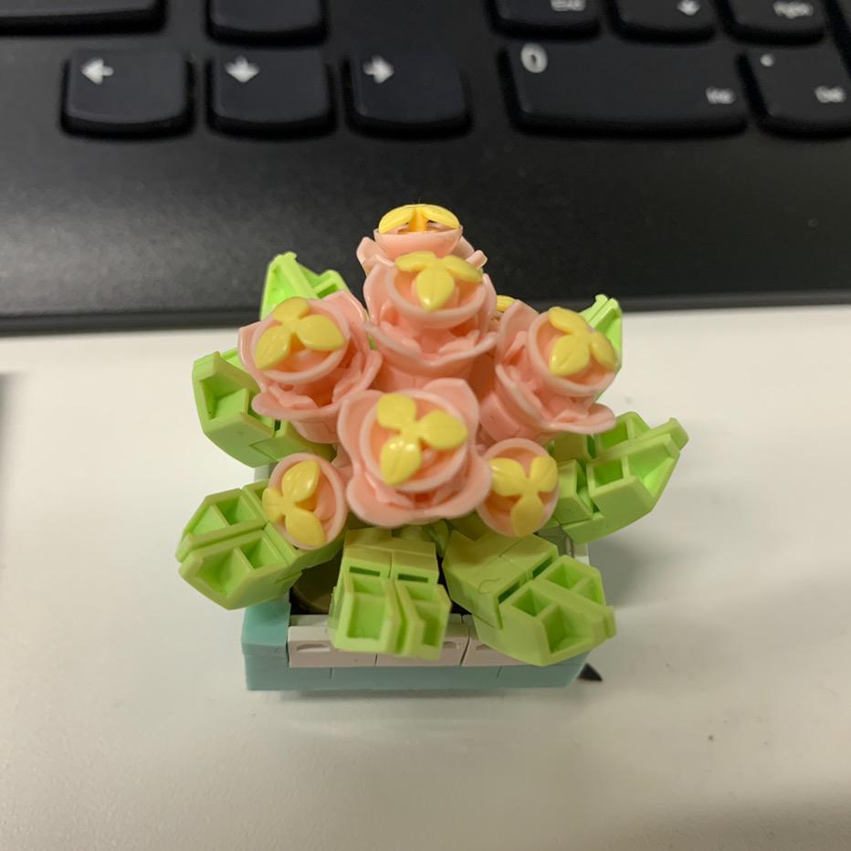 陈氏太极