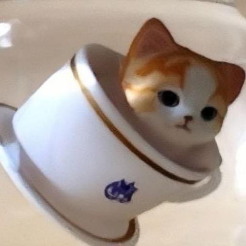 阿呆.