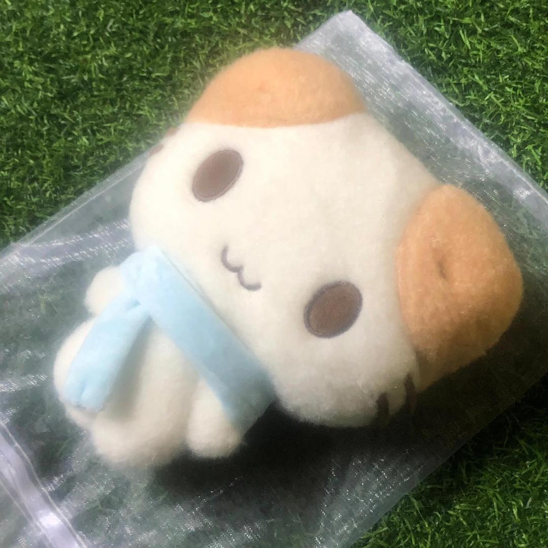 冬天不落屿