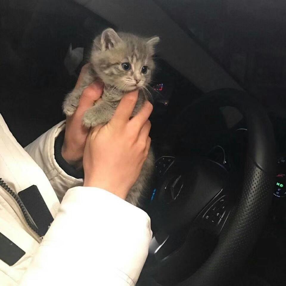 鄭澤鎔