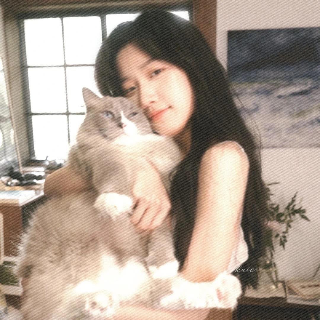 🐈有九命