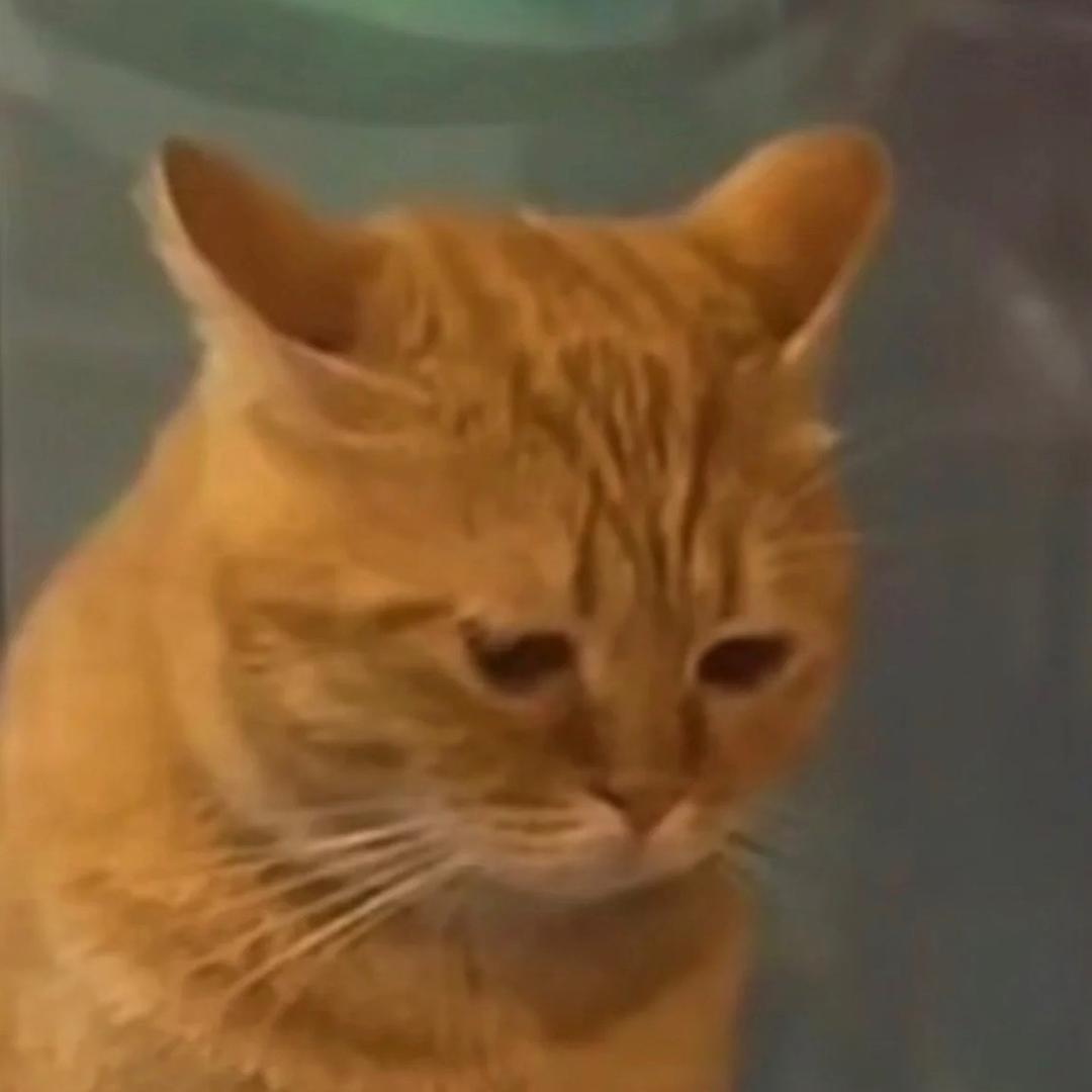 我只是想买个玩偶