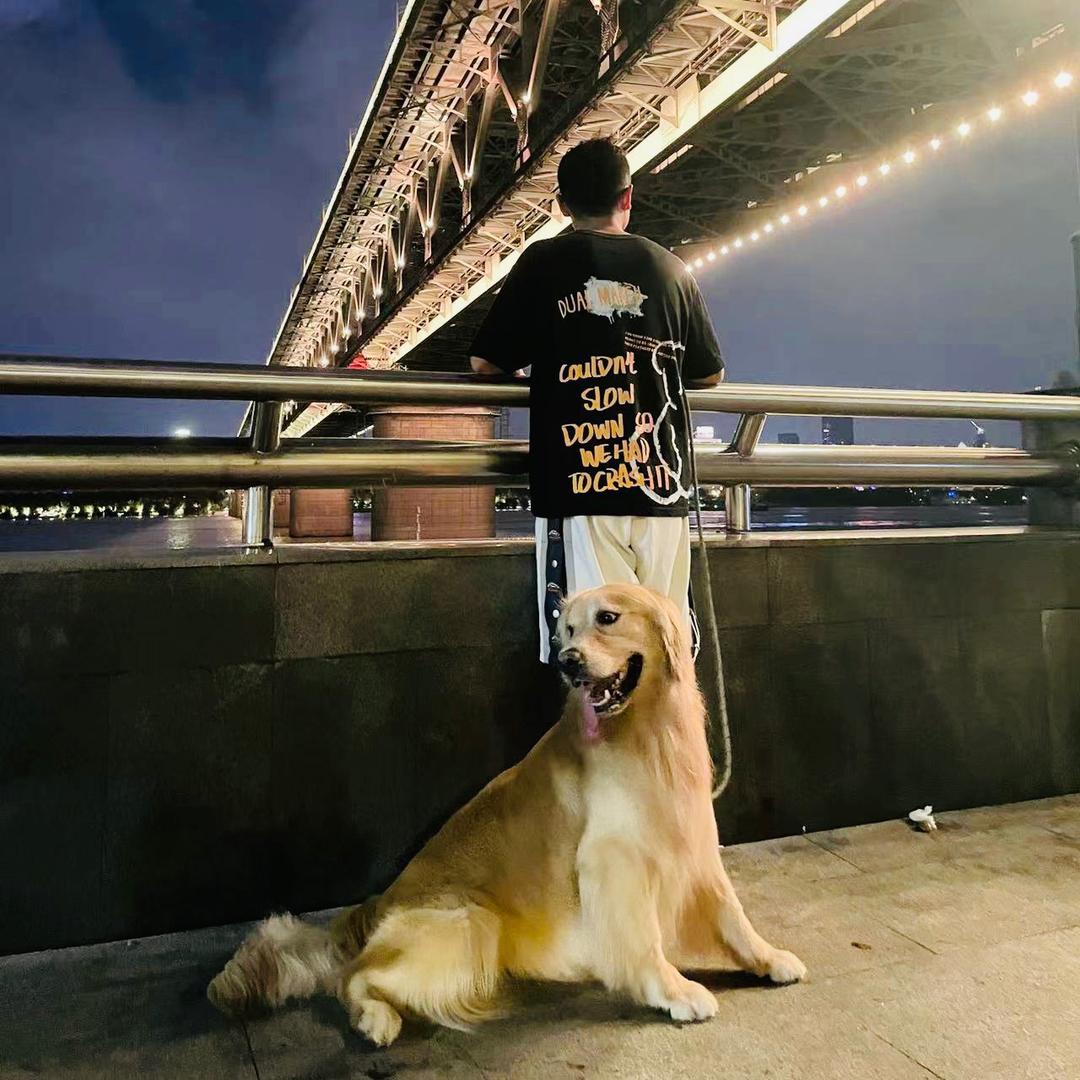 阿伦的汽车日记