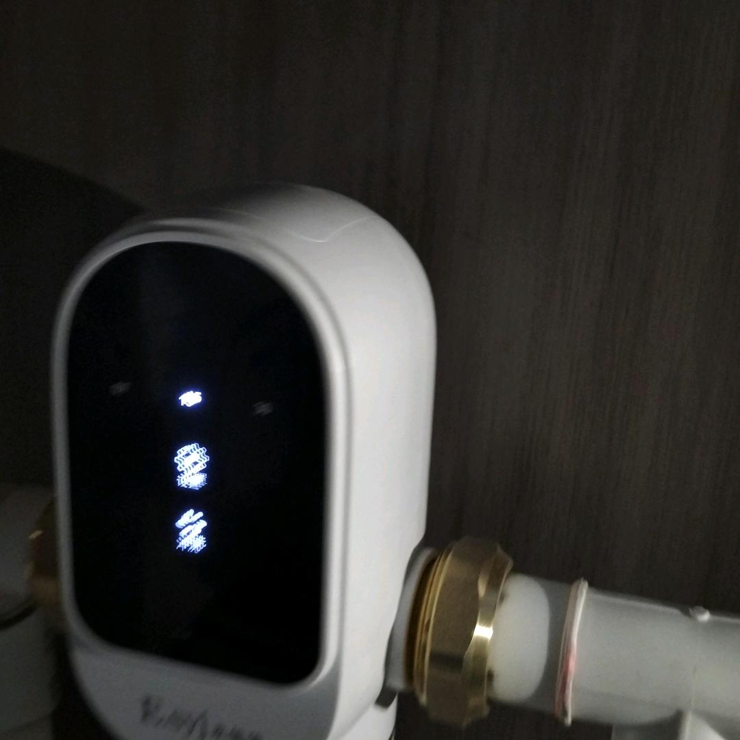 刘振咏
