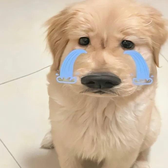 小林q