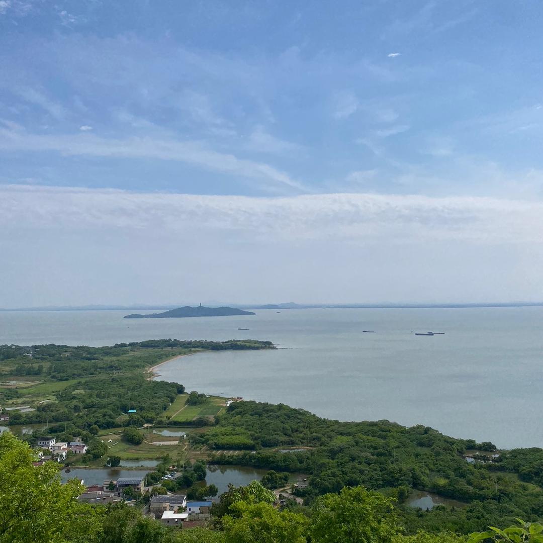观瑞医疗器械专营店优选甄品