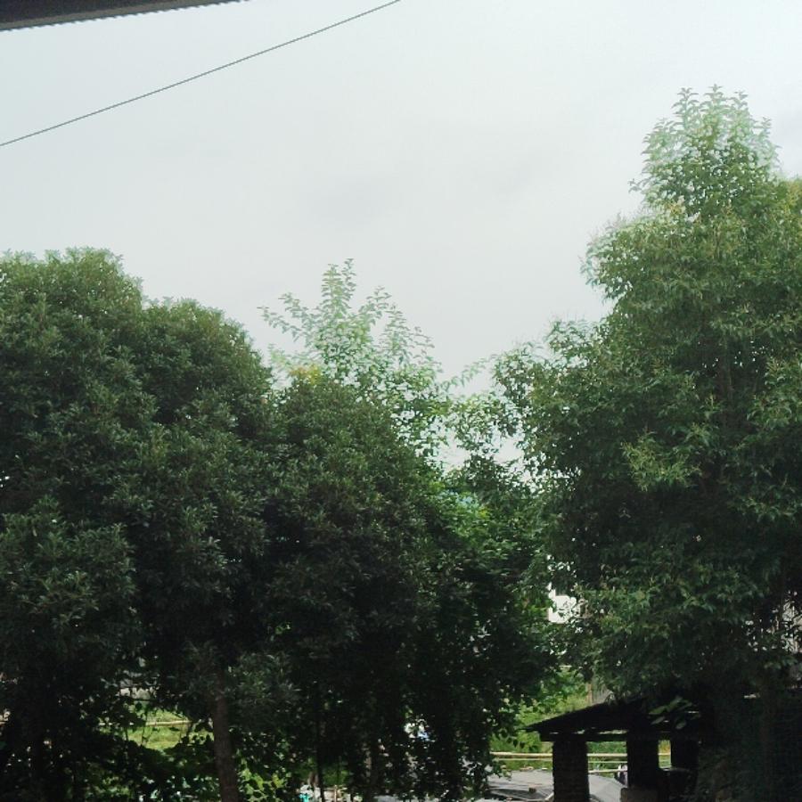 梁姐聊健康