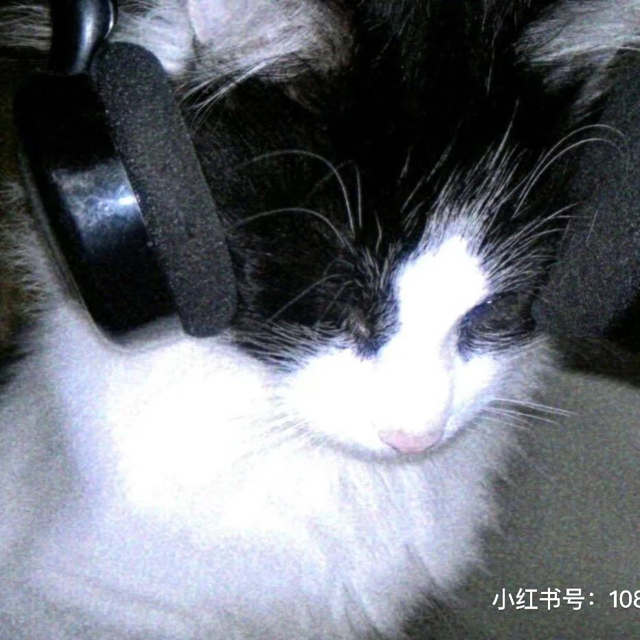 怀仁