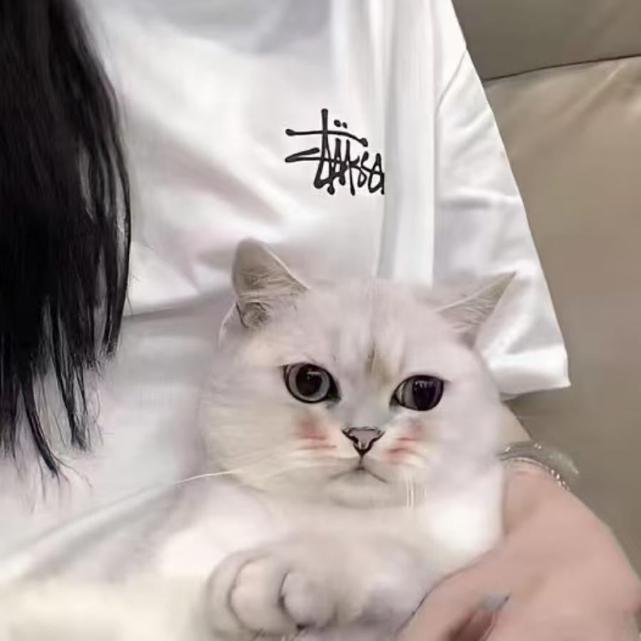 易易不舍