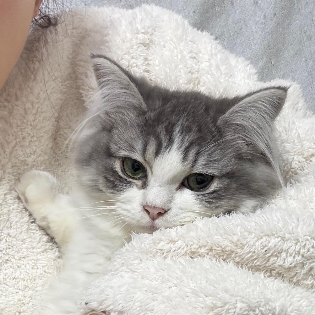 一只君🎀