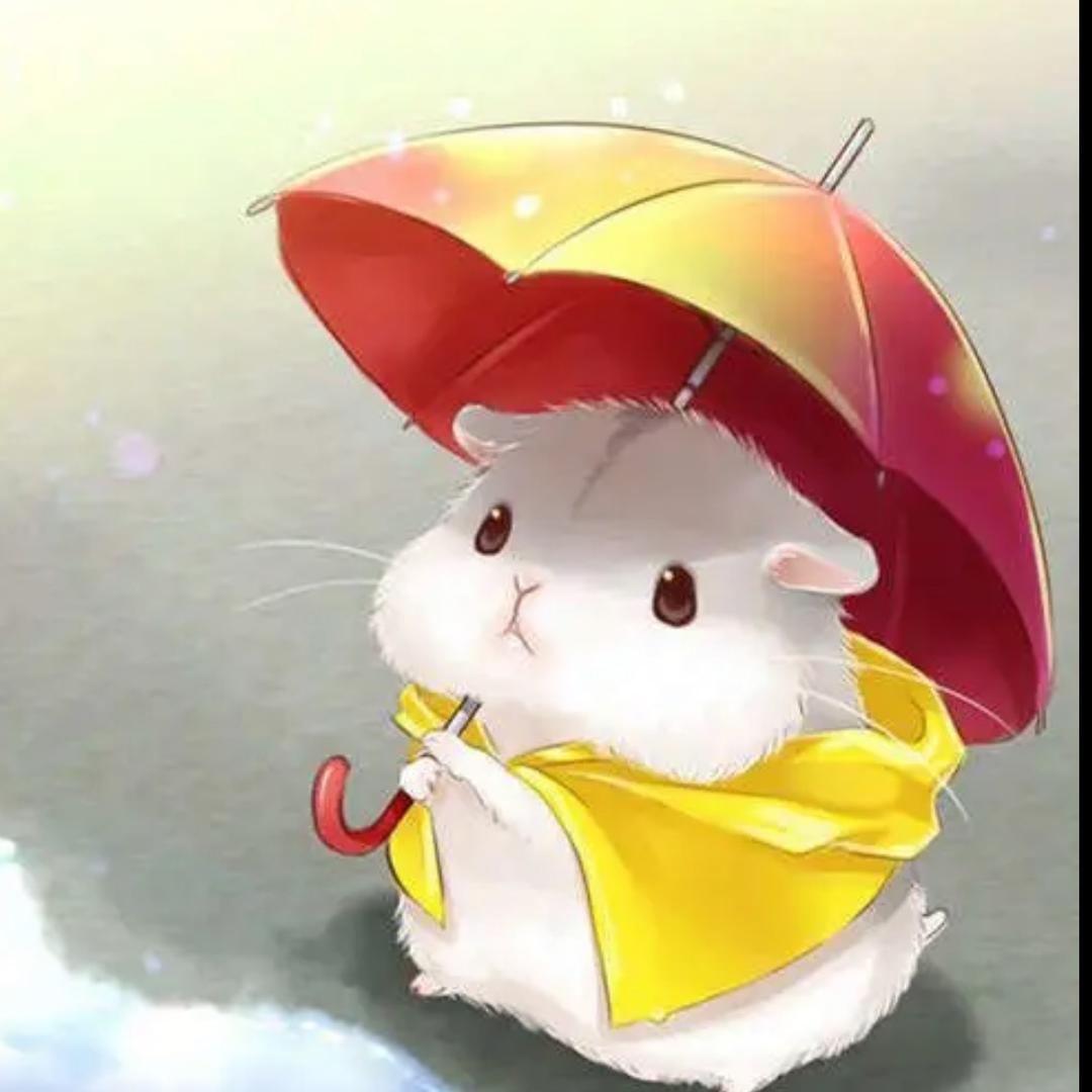 萌太吉宠物用品专营店非你莫鼠