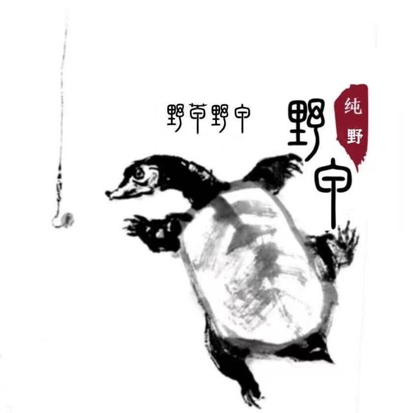 野草钓甲鱼