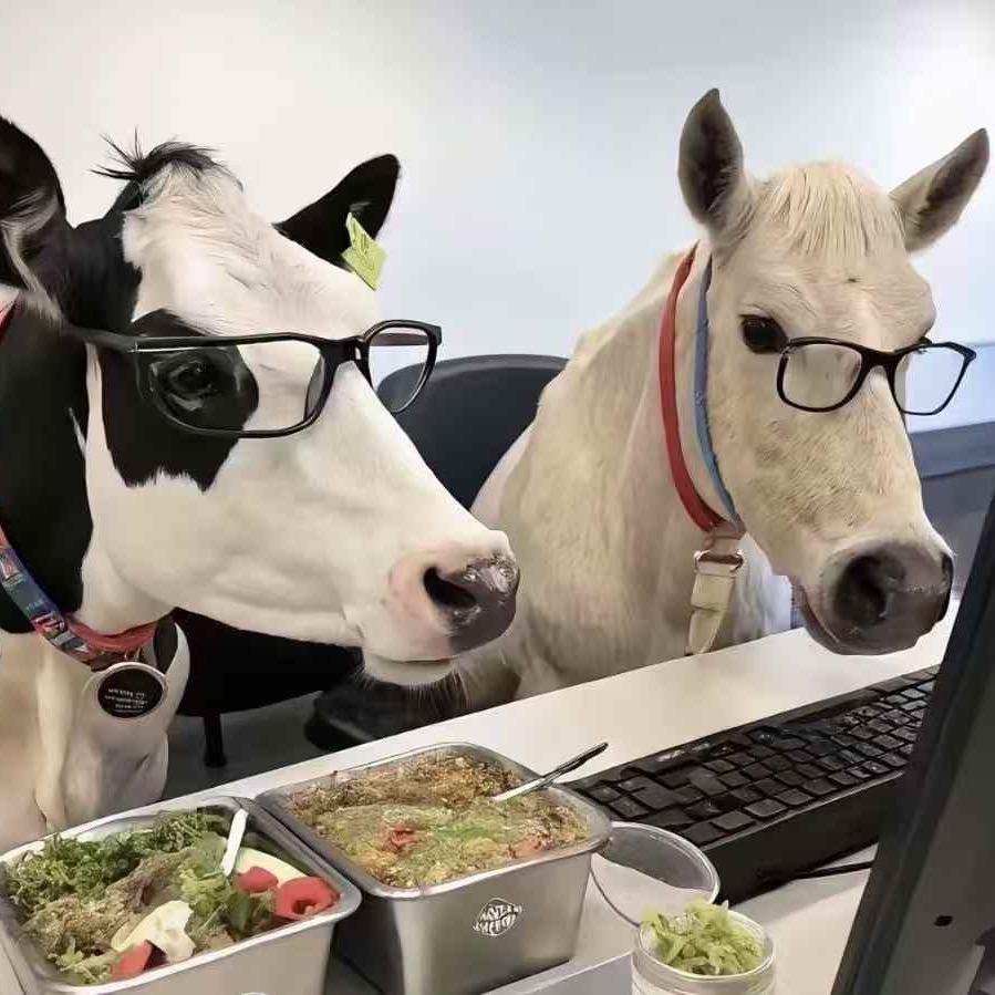 哞哞哞