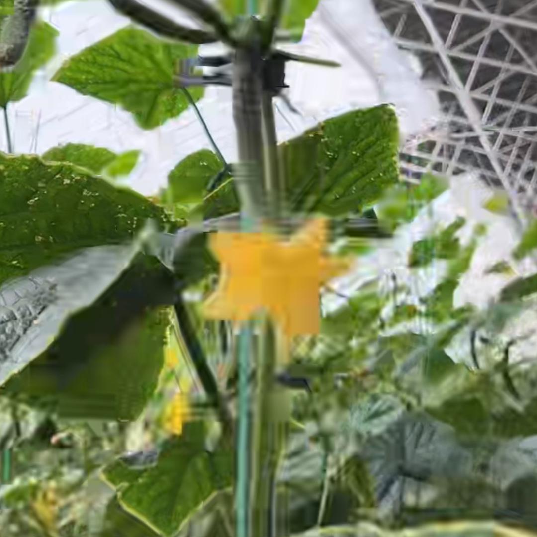 镜子照不到人心