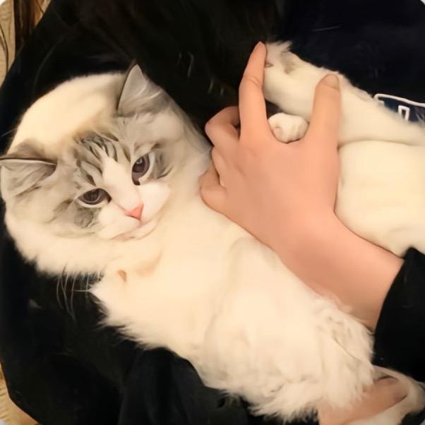 鄞