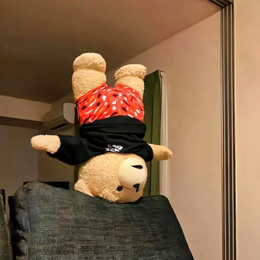 窗帘设计师小梅同学