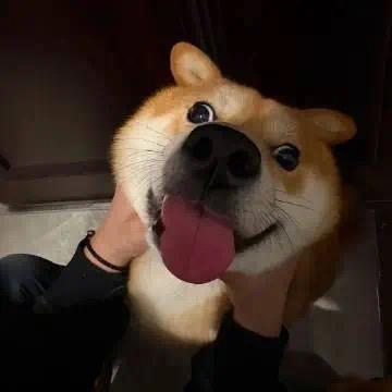aaa
