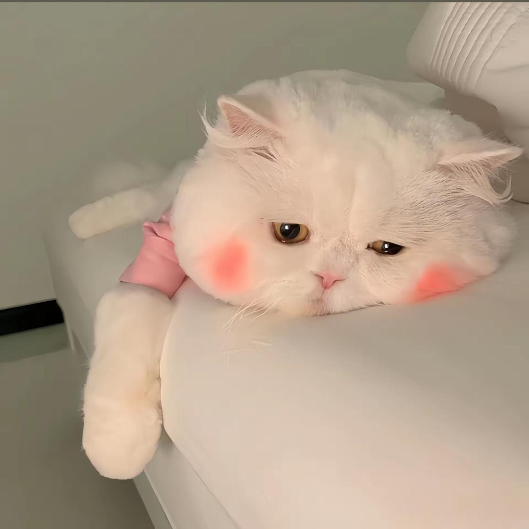 荼荼