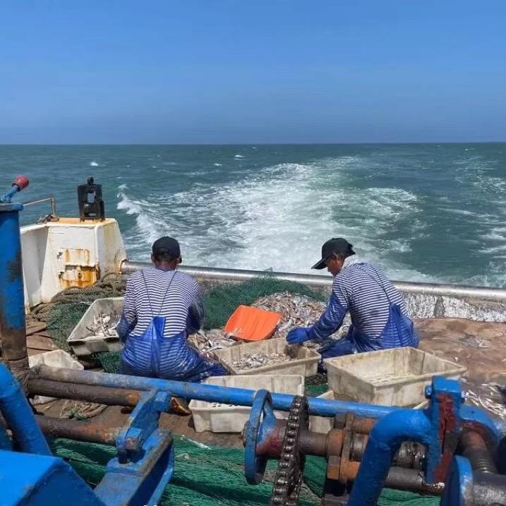 码头兄弟棉城鱼饭