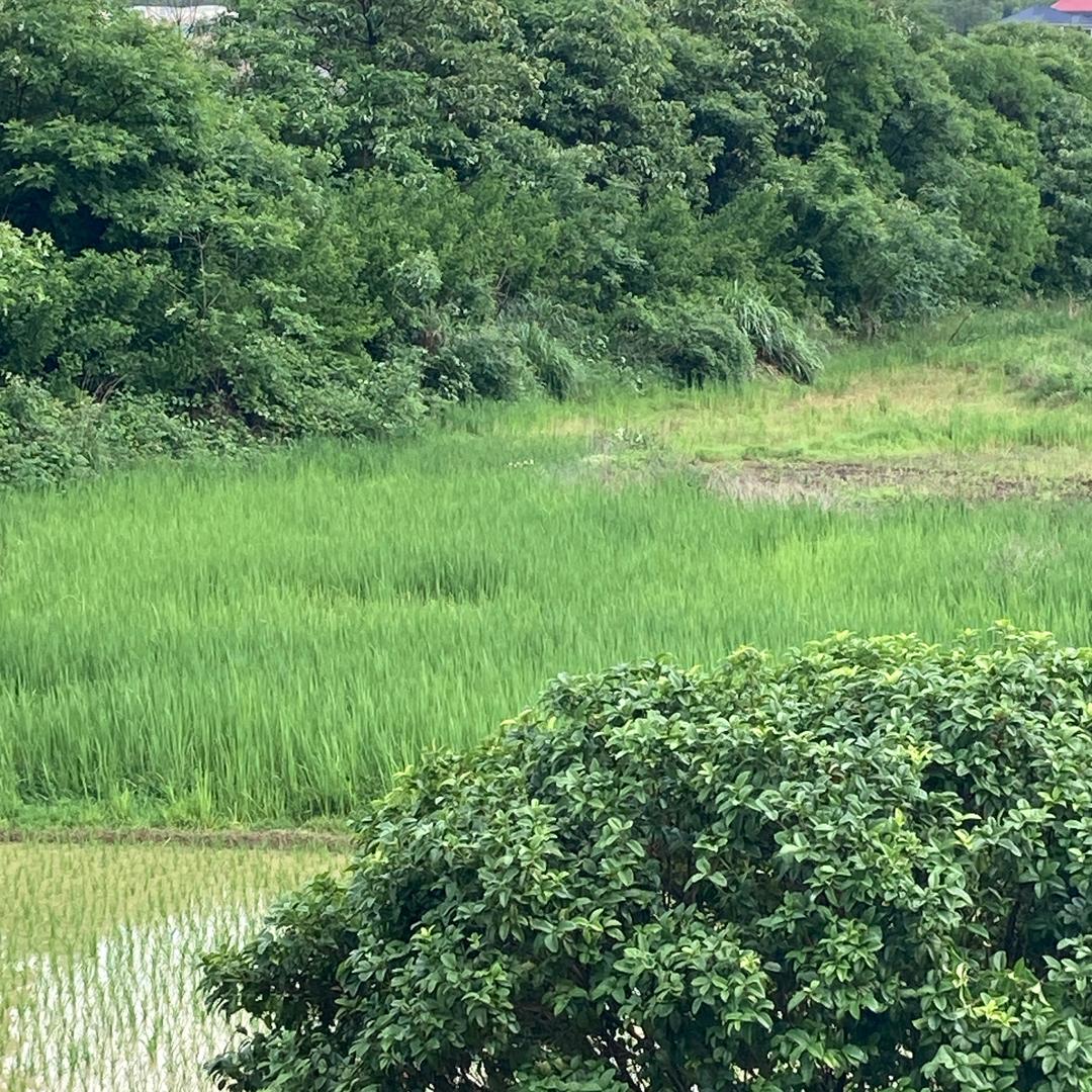 财玖逊户外宗行一