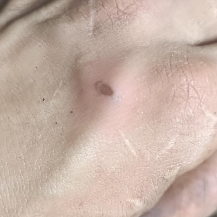 小蒋工地小哥哥