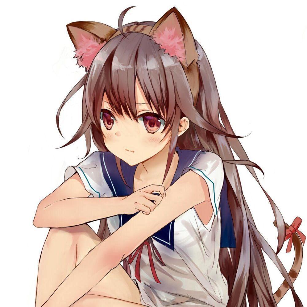 虫电宝的宝