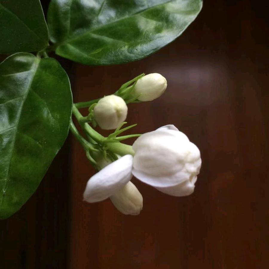 闭上眼睛，竖起耳朵聆听