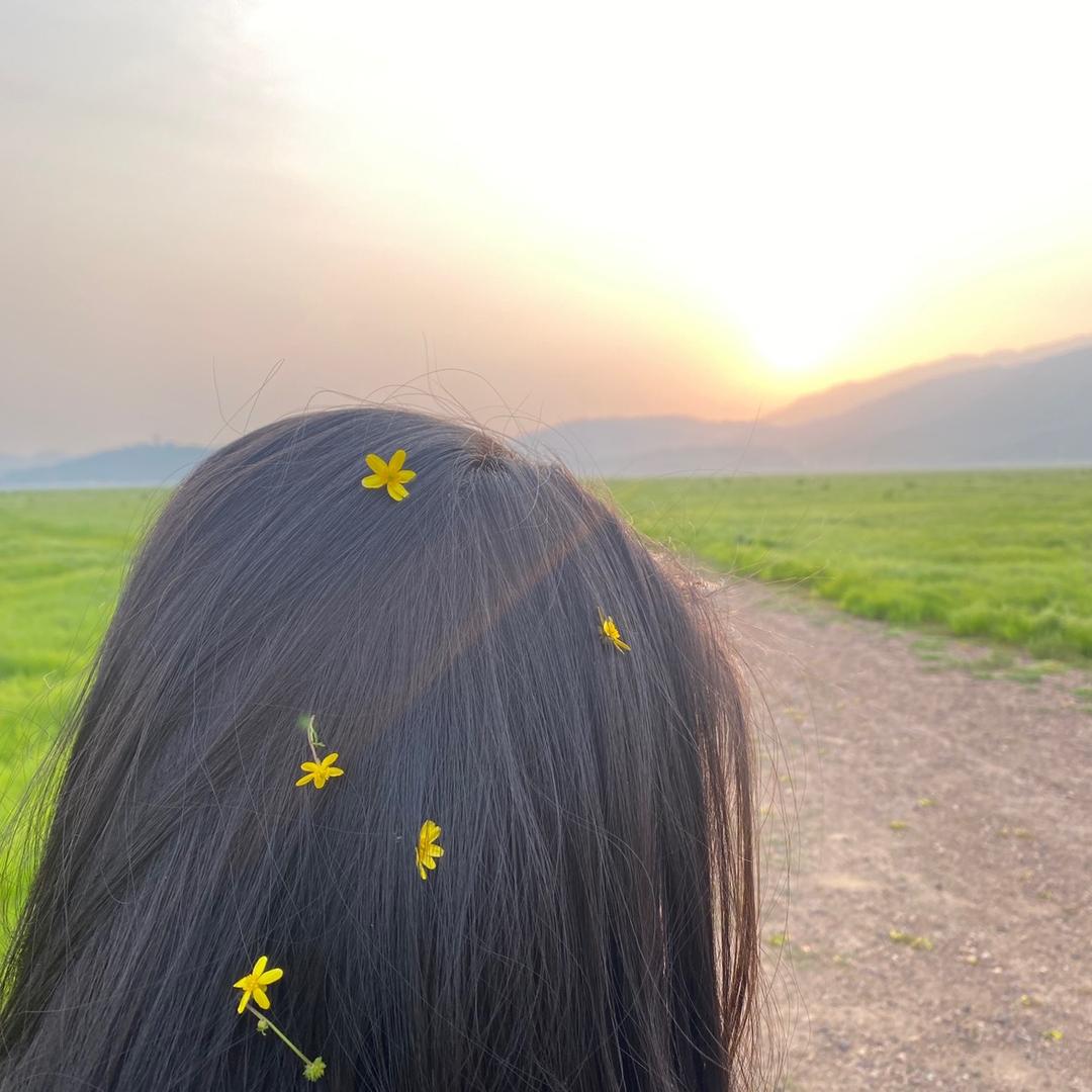 年糕