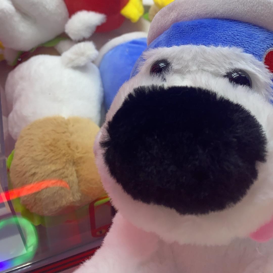 小城青年做民宿