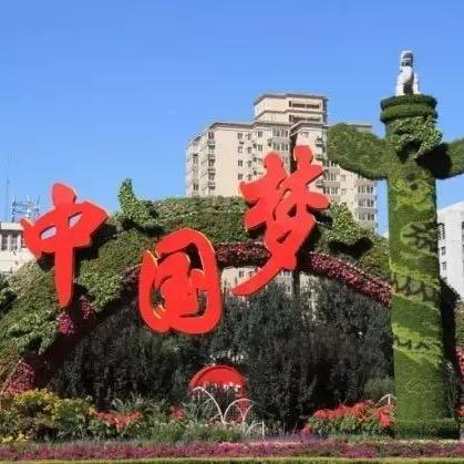 会游泳的🐟