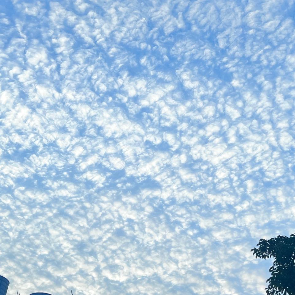 嘻嘻哈哈