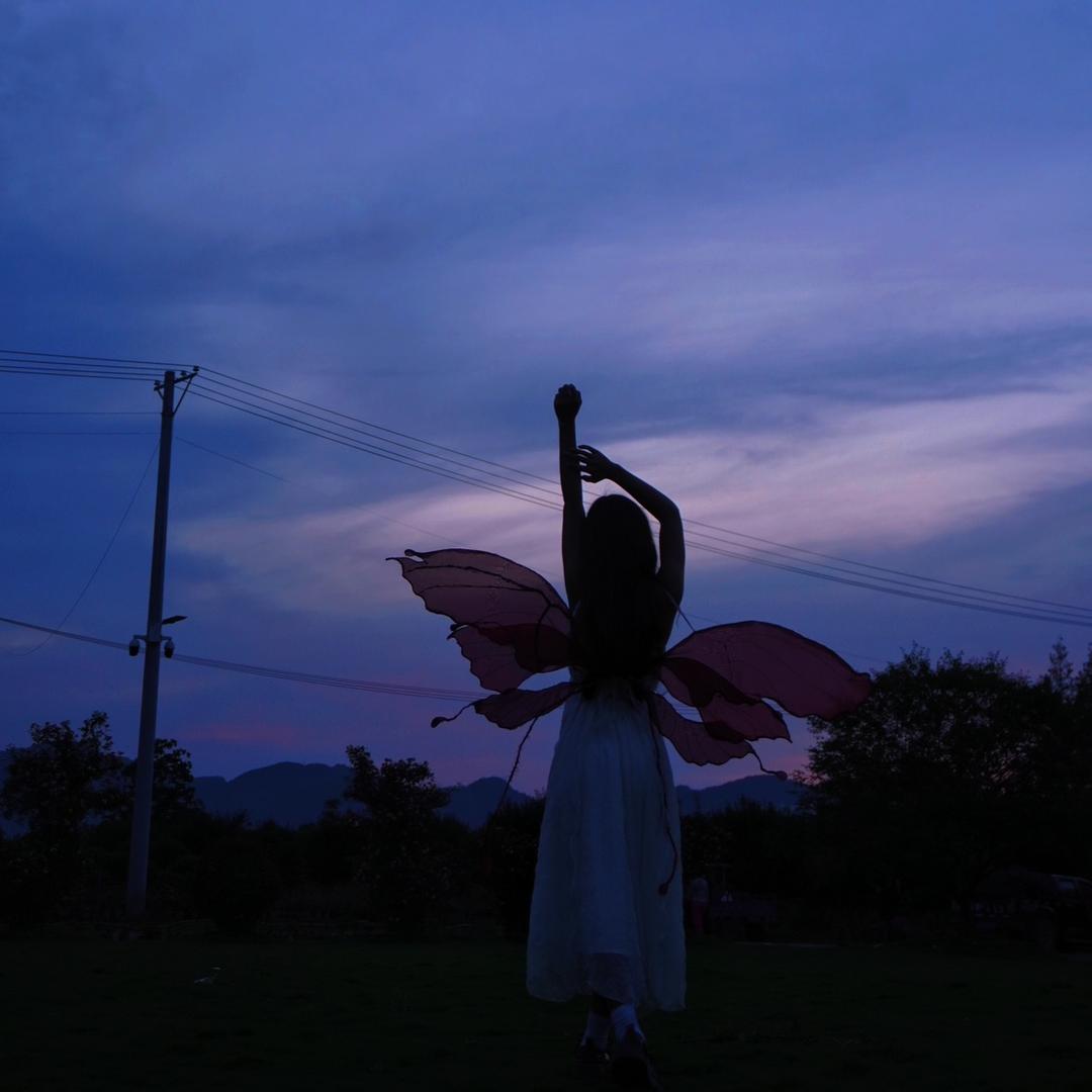 梦想还是要有的