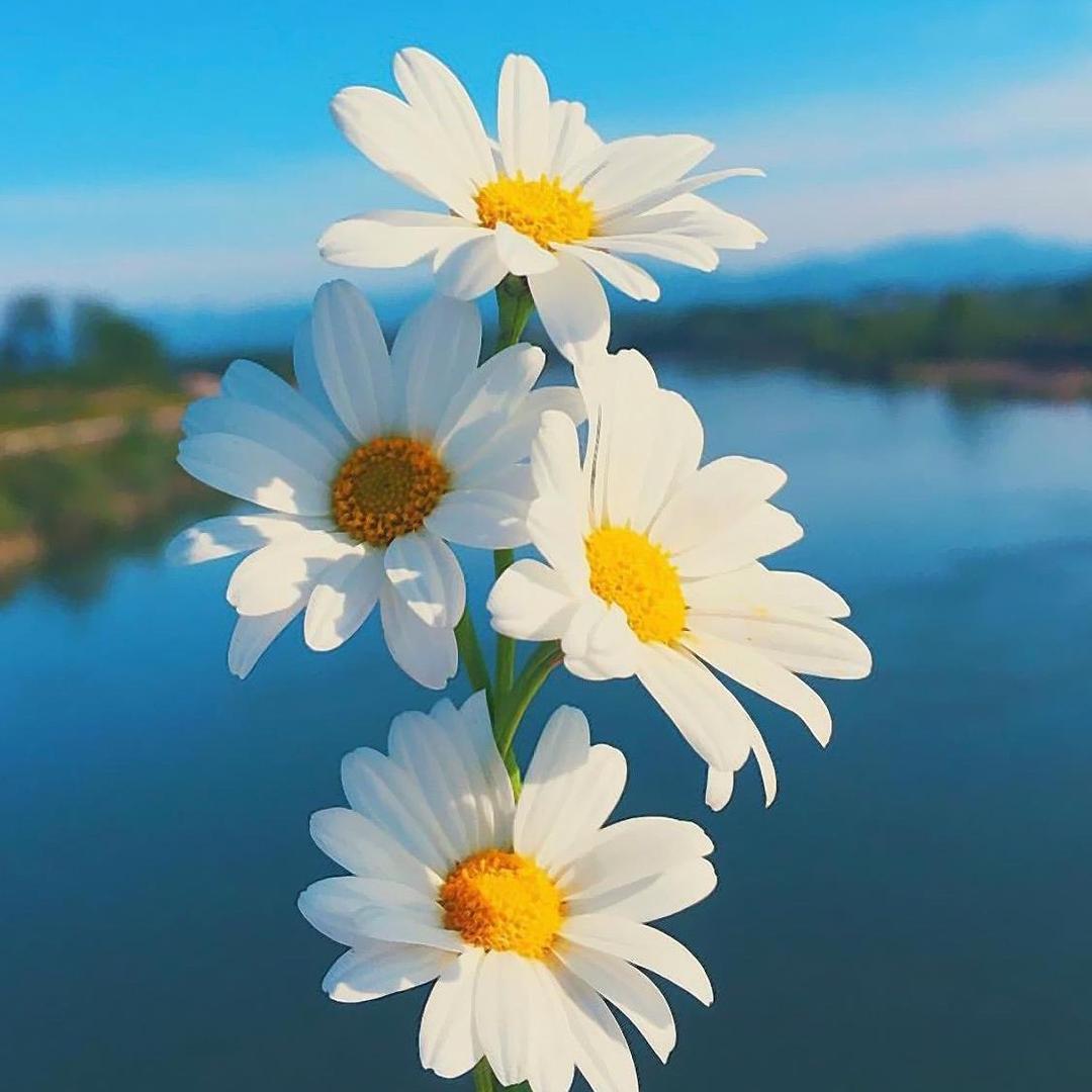 河南中原陵园（郑州北）