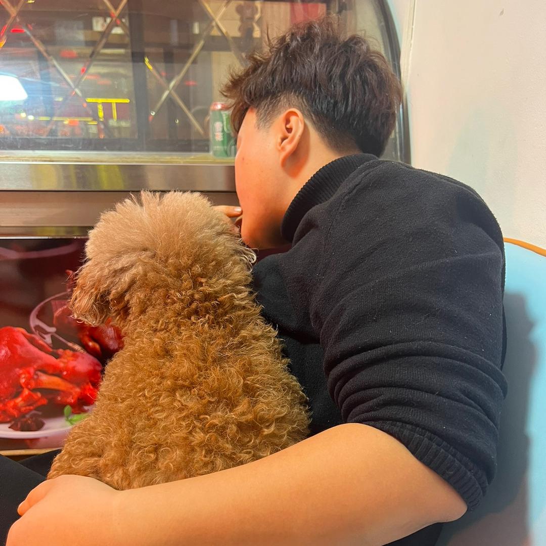 佳子的碎片日常