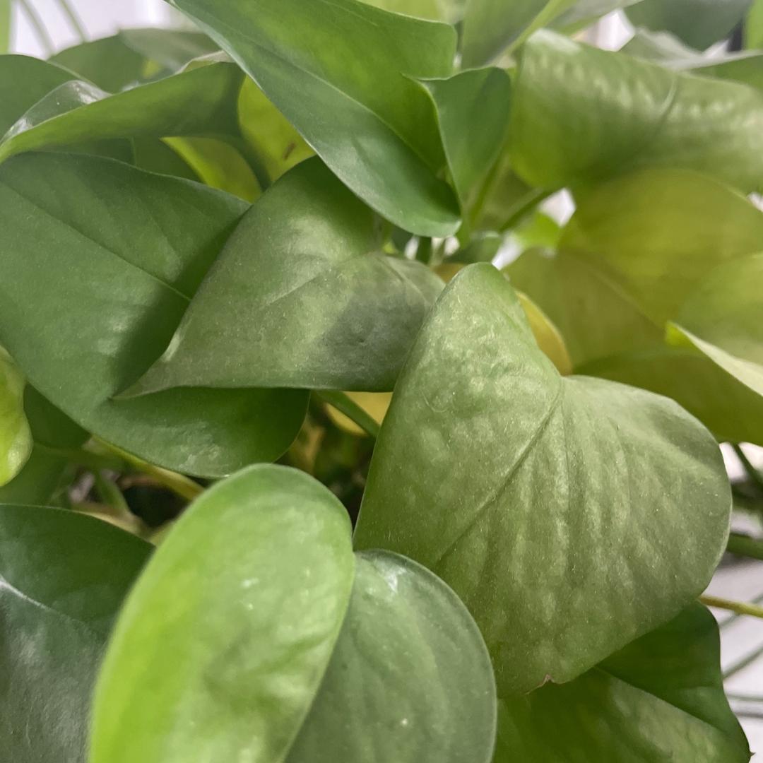 斯理机械