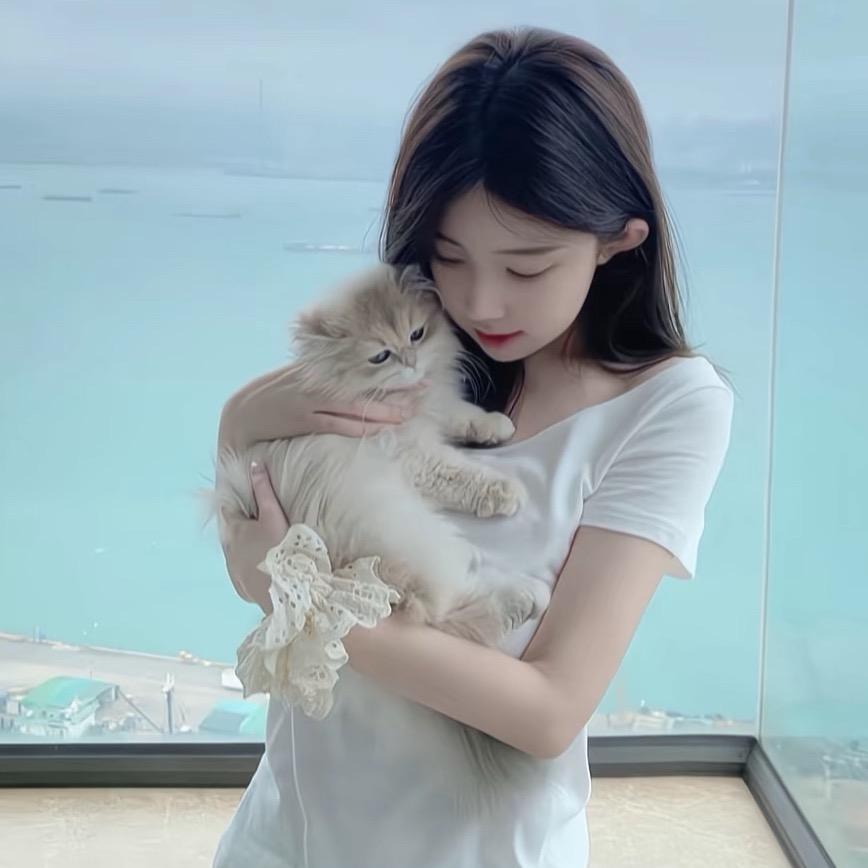 小蛋挞