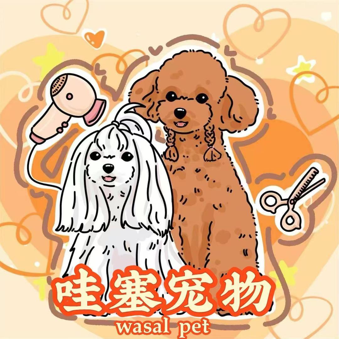 哇塞宠物