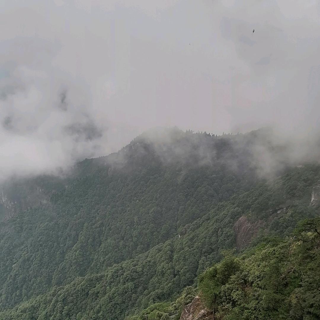 木木水果管家