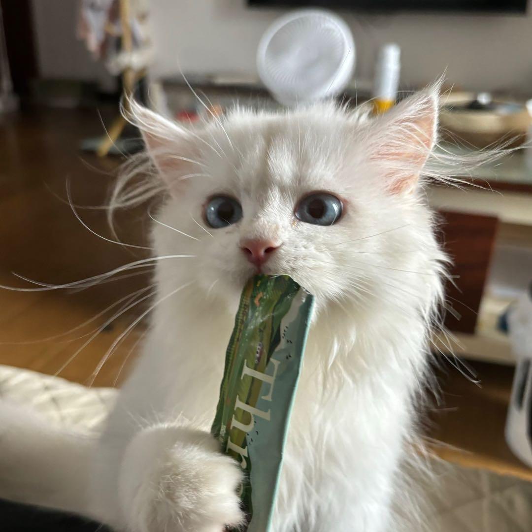 小满万万睡头像