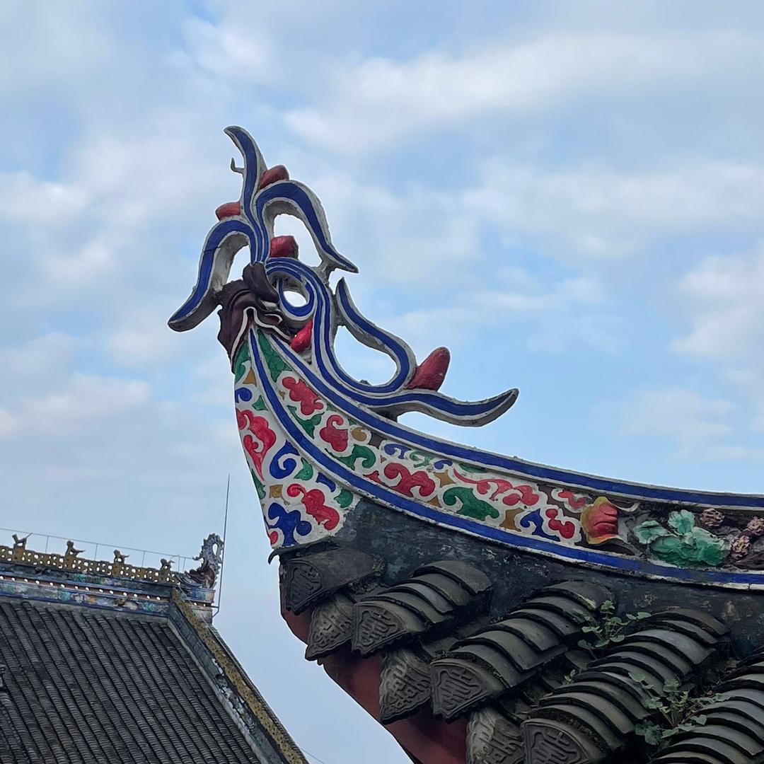 你的糖糖