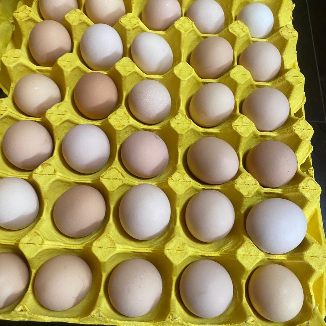 洪洞弘韵鸡蛋（城东店）