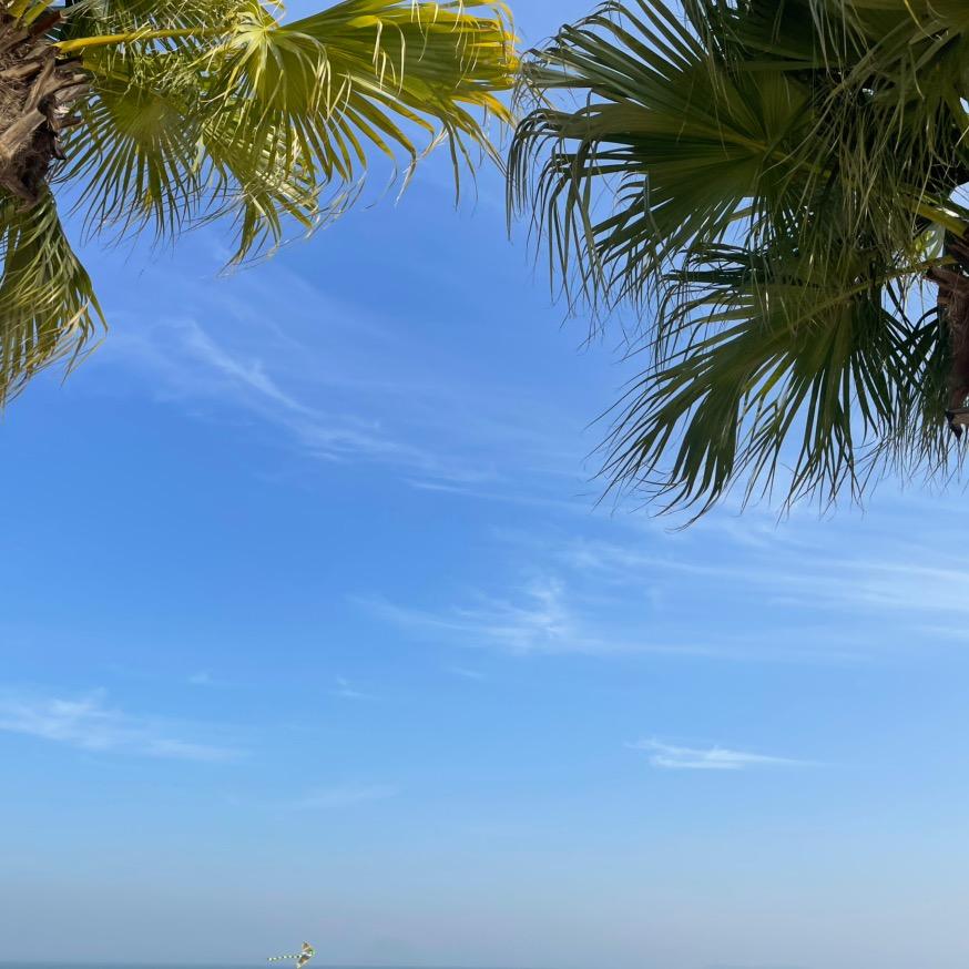 漫萌谷子店(吧唧按斤称）