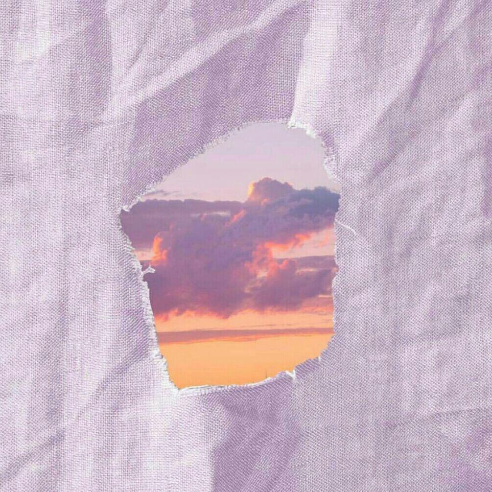 野蔷薇今夜盛开