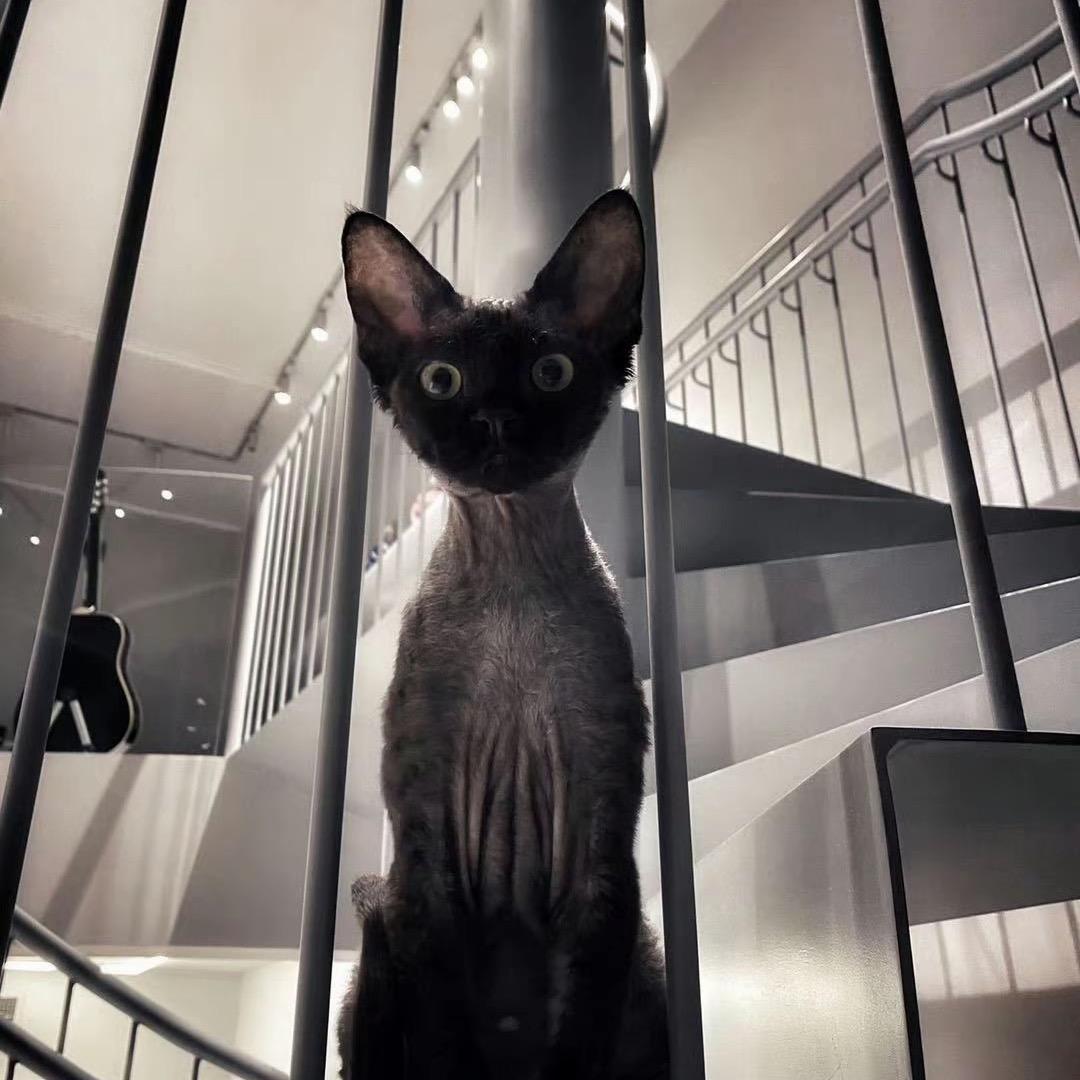 初始用户754334545