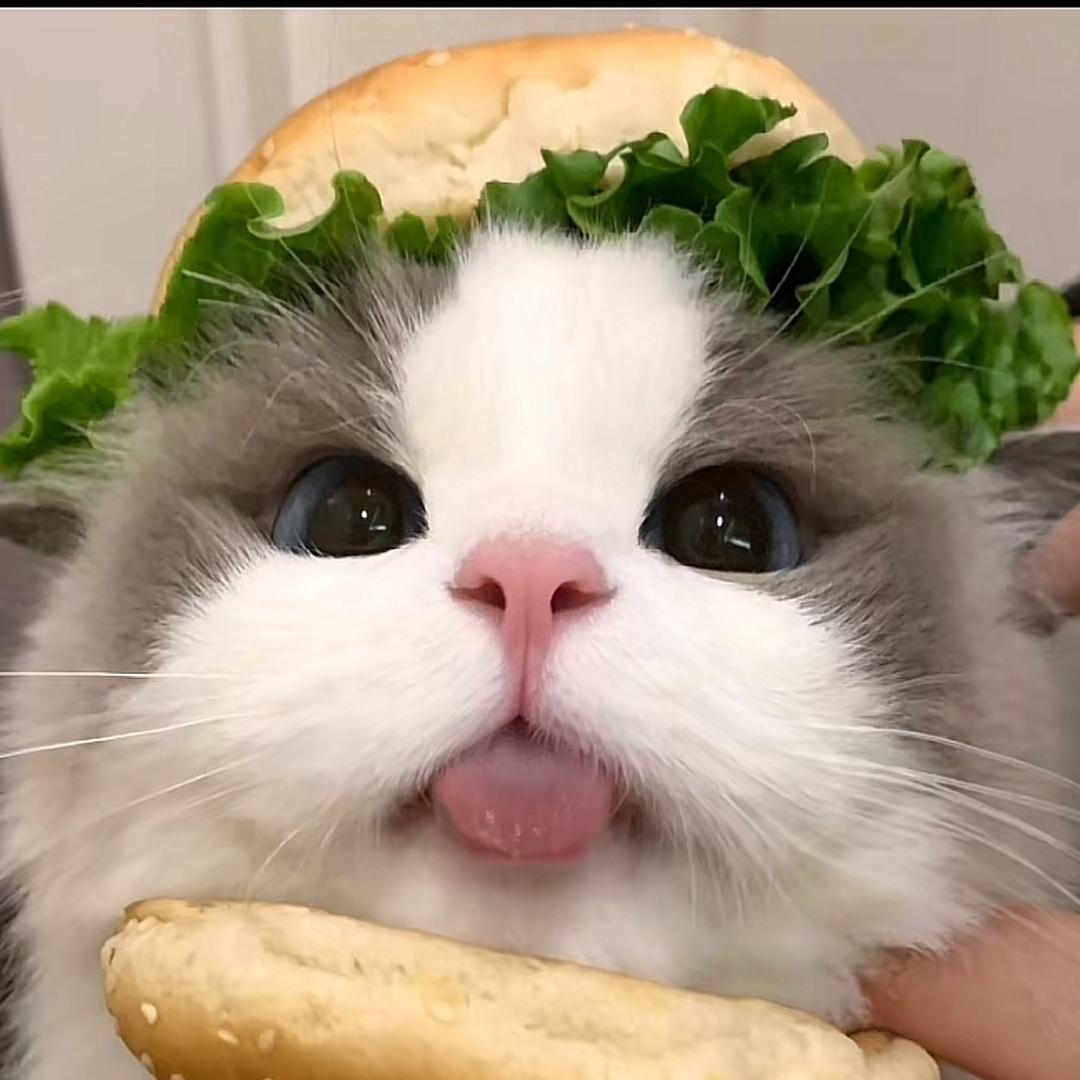 不想上班